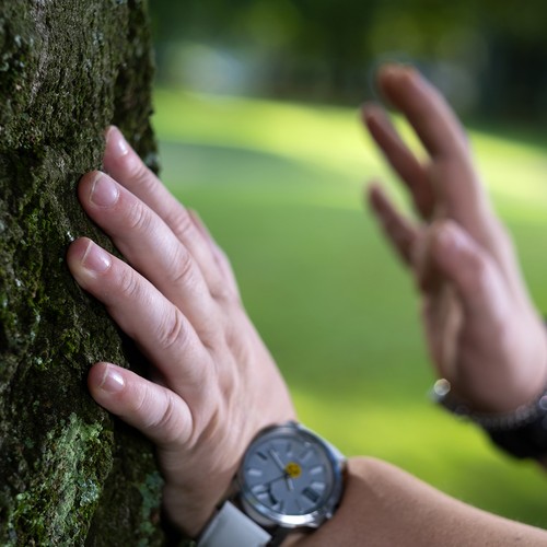 Händee an einem Baum