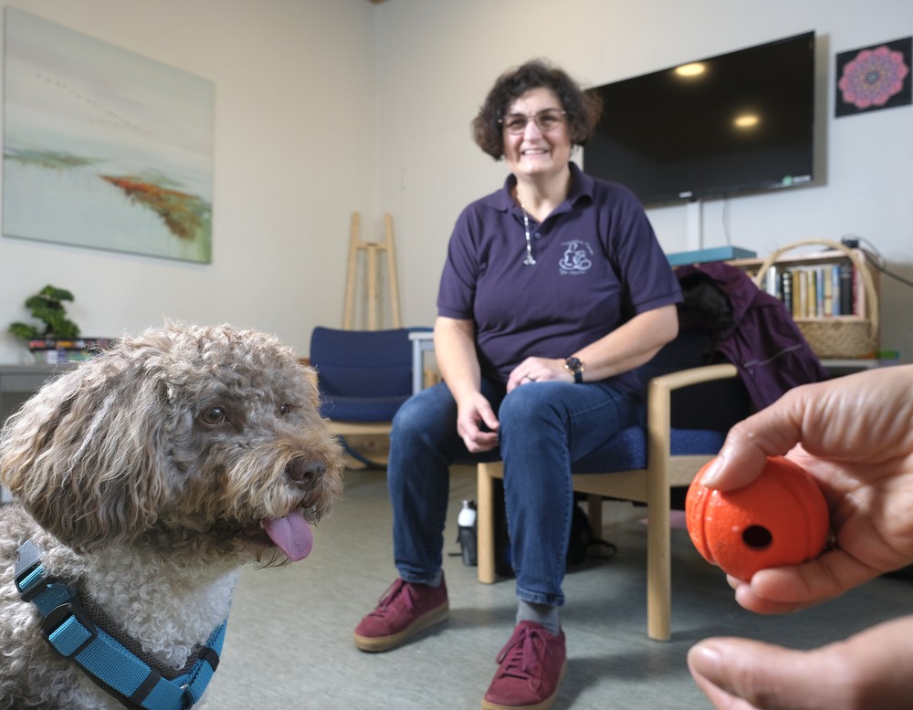 Tiertherapeutin Inge Hoster und Therapiehund Toffi in Interaktion mit Patient:innen