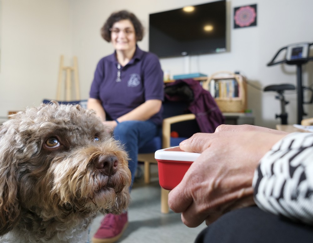 Tiertherapeutin Inge Hoster und Therapiehund Toffi in Interaktion mit Patient:innen