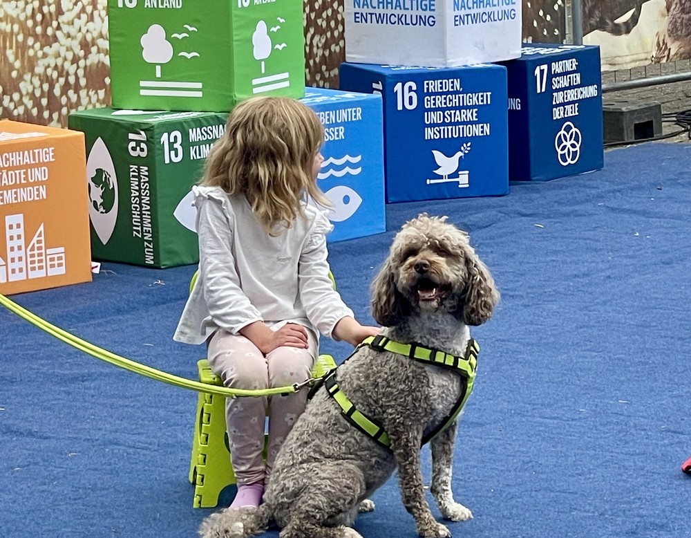 Bilder vom Tierparkfest 2025